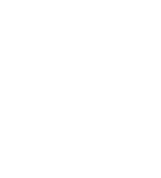 Steam Ironing pricing